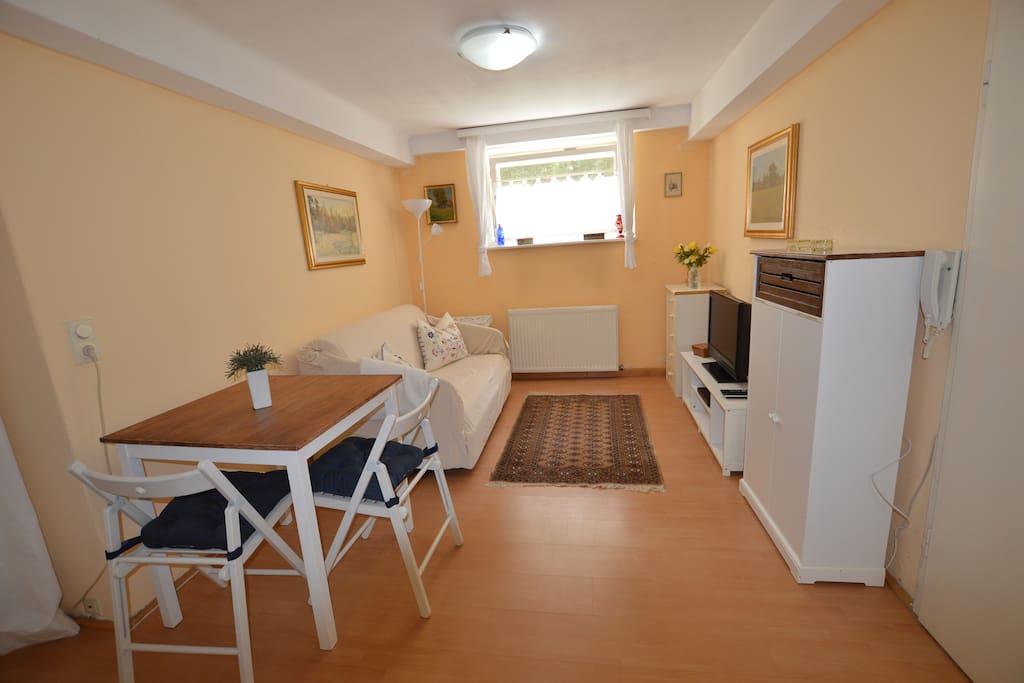 Wohnzimmer/living room