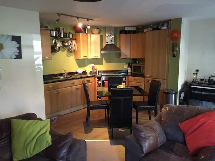 Comfortable Room In A Lovely Modern Apartment. - York