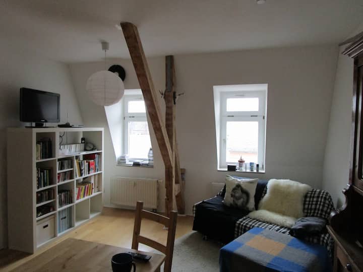 Dresden Vacation Rentals & Homes Saxony, Germany Airbnb