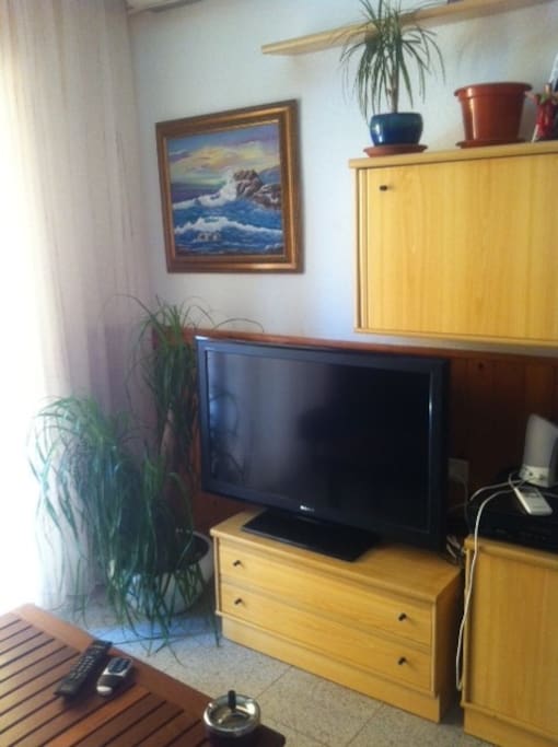 TV grande, en salón con sofá cama