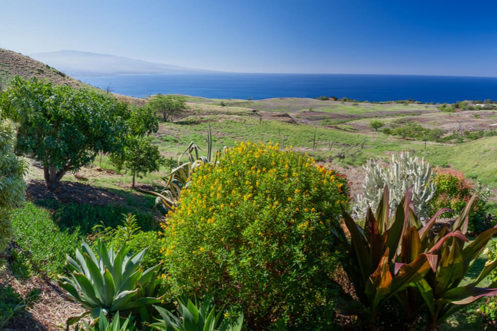 Garden, ocean and Hualalai volcano from your lanai