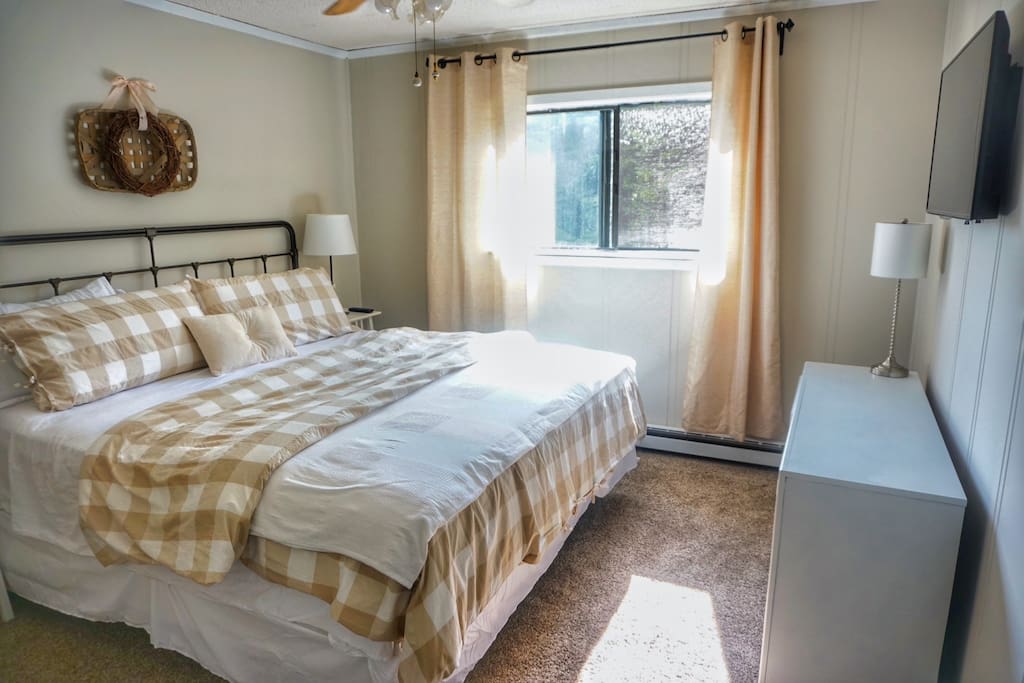 Master Bed with King Sized Mattress, Dresser, Closet, and Flat Screen Television