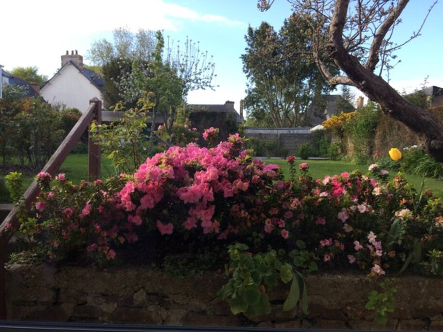 Jardin