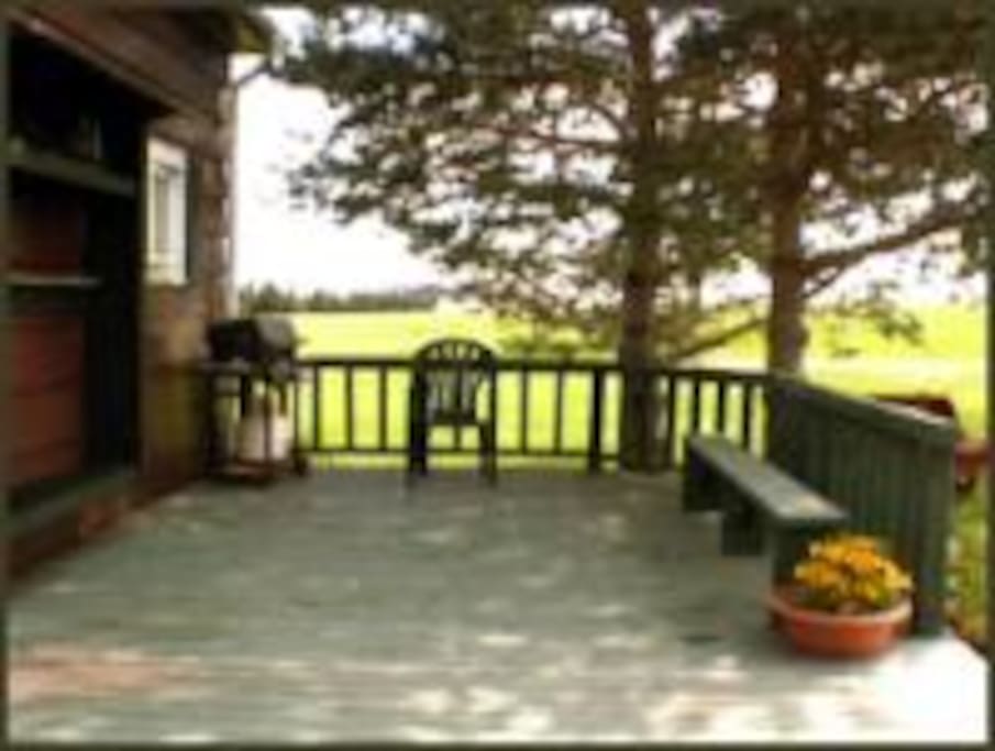 Back deck