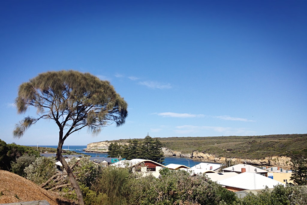 A view overlooking Port Campbell Bay, featuring a calm waterline bordered by greenery and coastal cliffs. In the foreground, a tree stands beside a collection of rooftops, contrasting with the clear blue sky and distant hills.