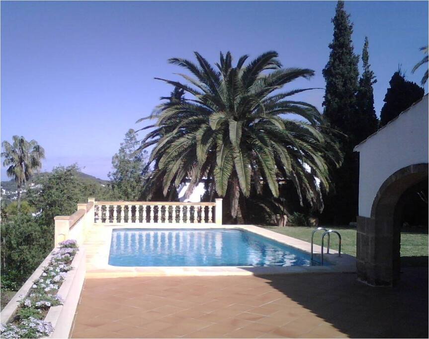 Pool and terrace