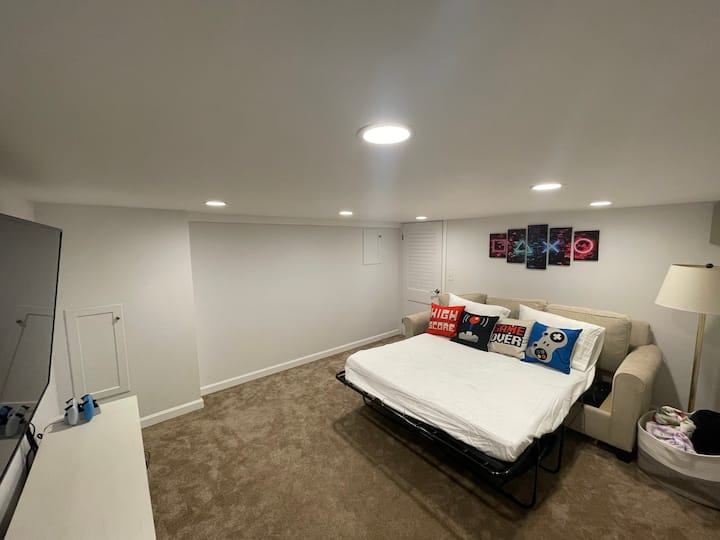 Pull out sofa in the media room