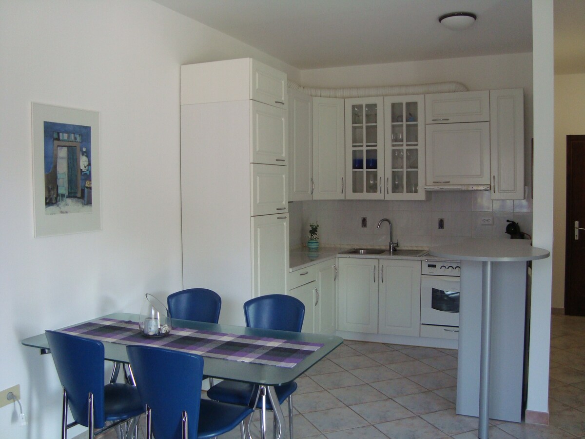 Apartment Carmen
