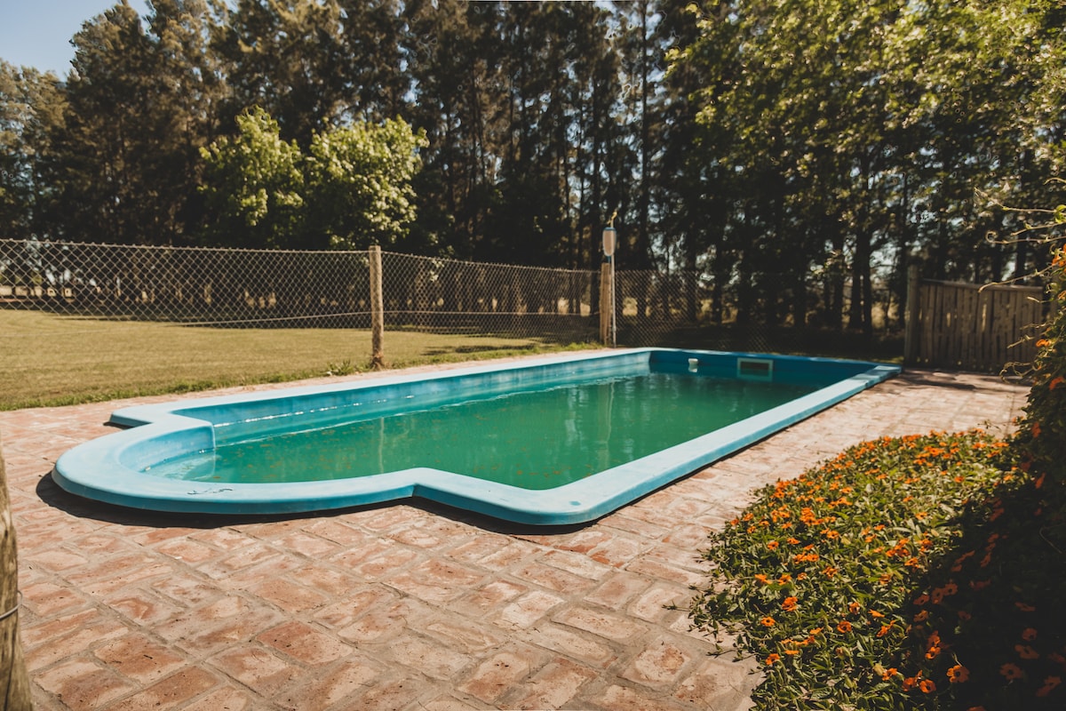 A rectangular pool is surrounded by a deck of stone tiles, featuring a bright blue edge. Lush greenery and a fenced area create a private outdoor setting, while vibrant flowers add a touch of color along the perimeter.