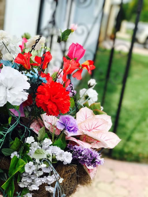 The flowers are always blooming at Serenity Cottage...