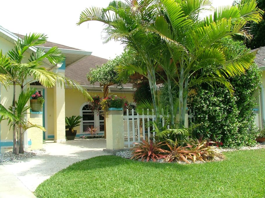 Palm trees surrounding the front door and courtyard