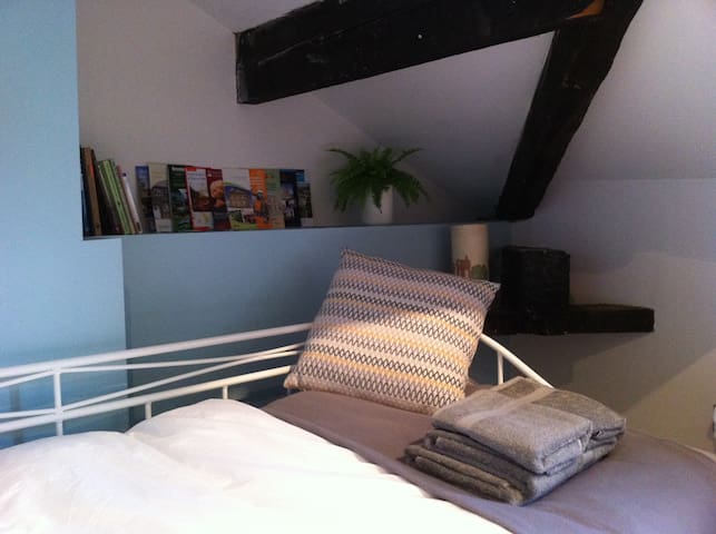 lovely room, private guest bathroom, family home