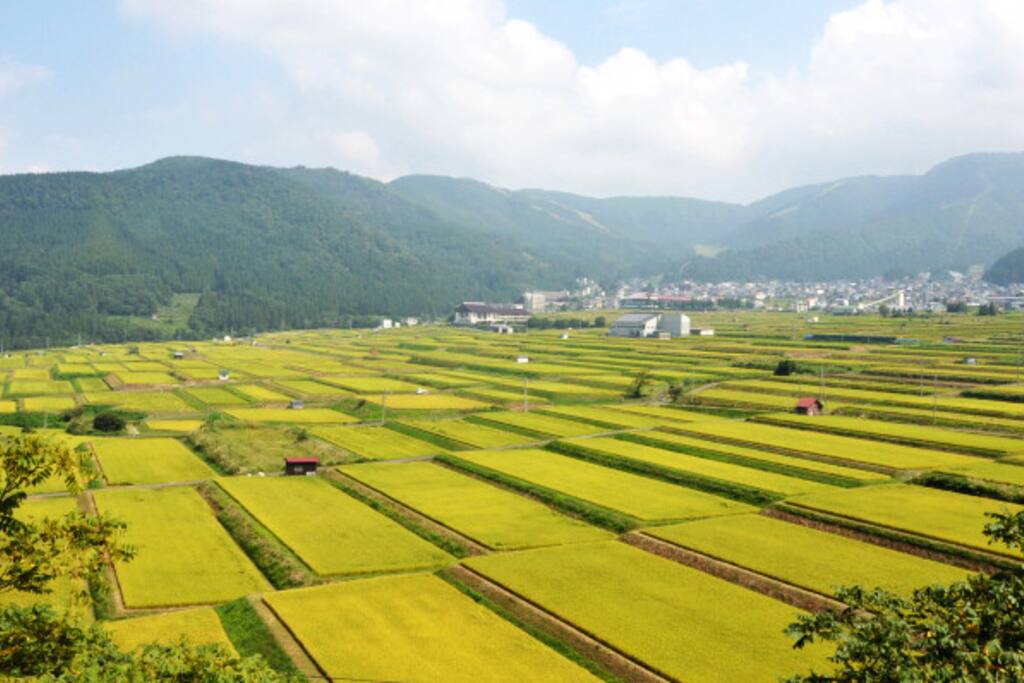 The rice paddy slopes of Nozawa Onsen Village - summer fun!!
