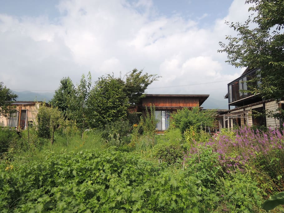 left, Workshop: middle Guest Cottage: right Main Cottage