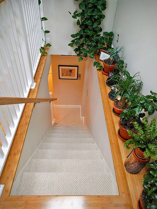 Welcome to your Airbnb!