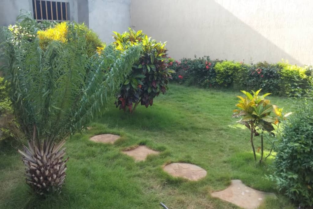 Jardin propre avec gazon et fleurs bien entretenu