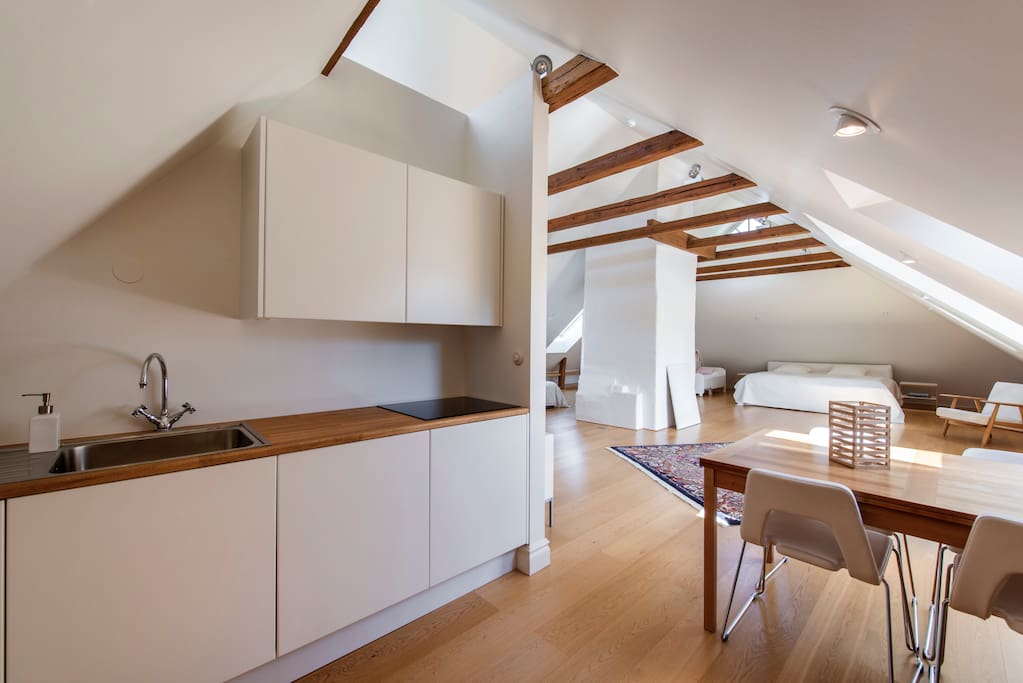 Kitchen with fridge and hotplates