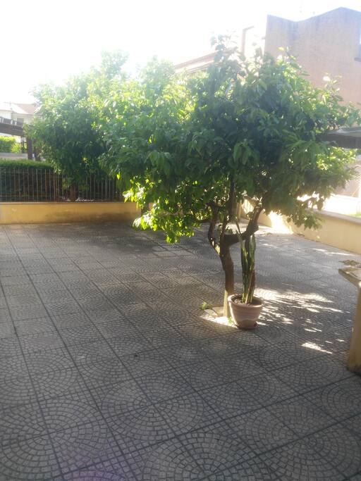 giardino condiviso