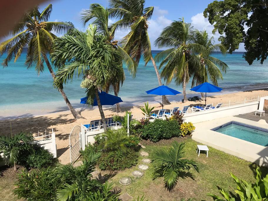 Beachfront 2 bedroom apartment 'Windsong" - Apartments for Rent in