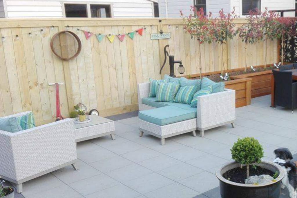 Back yard