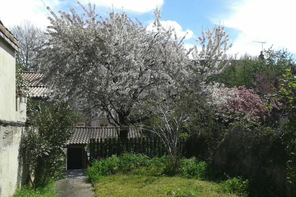 Le jardin