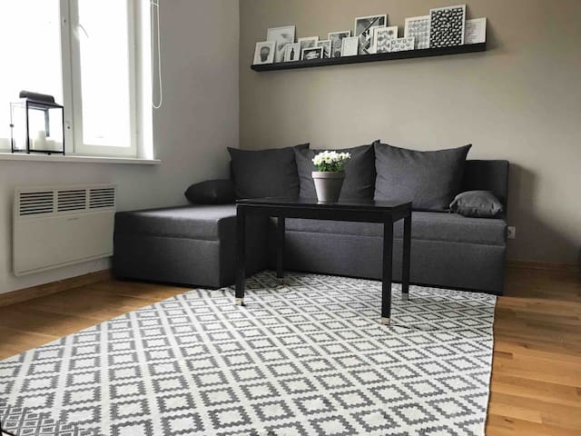 Cozy apartment next to Old Town & Telliskivi