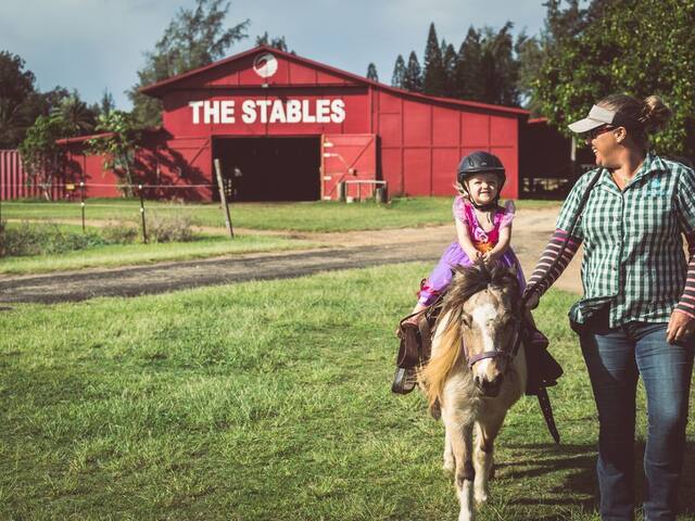Stunning Corner Villa w/OCEAN VIEWS FROM EVERY BD! gallery image 5