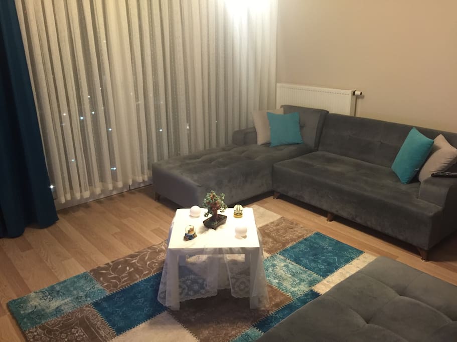 Salon / Living Room
