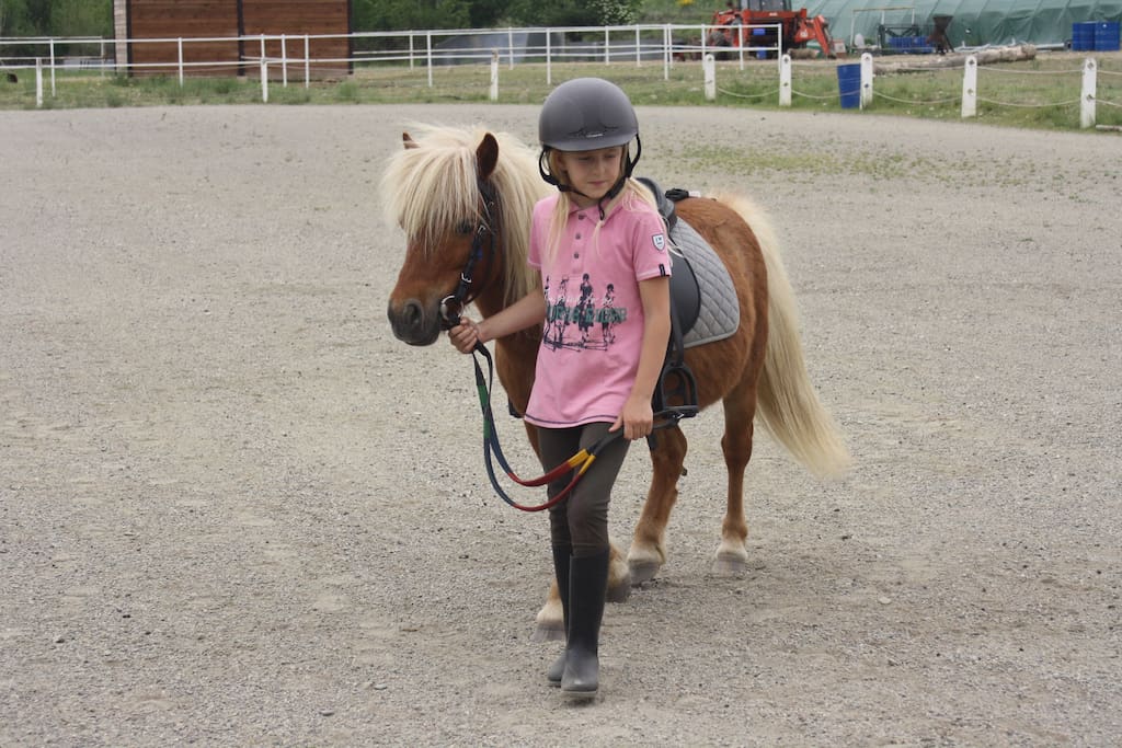 Activité poney