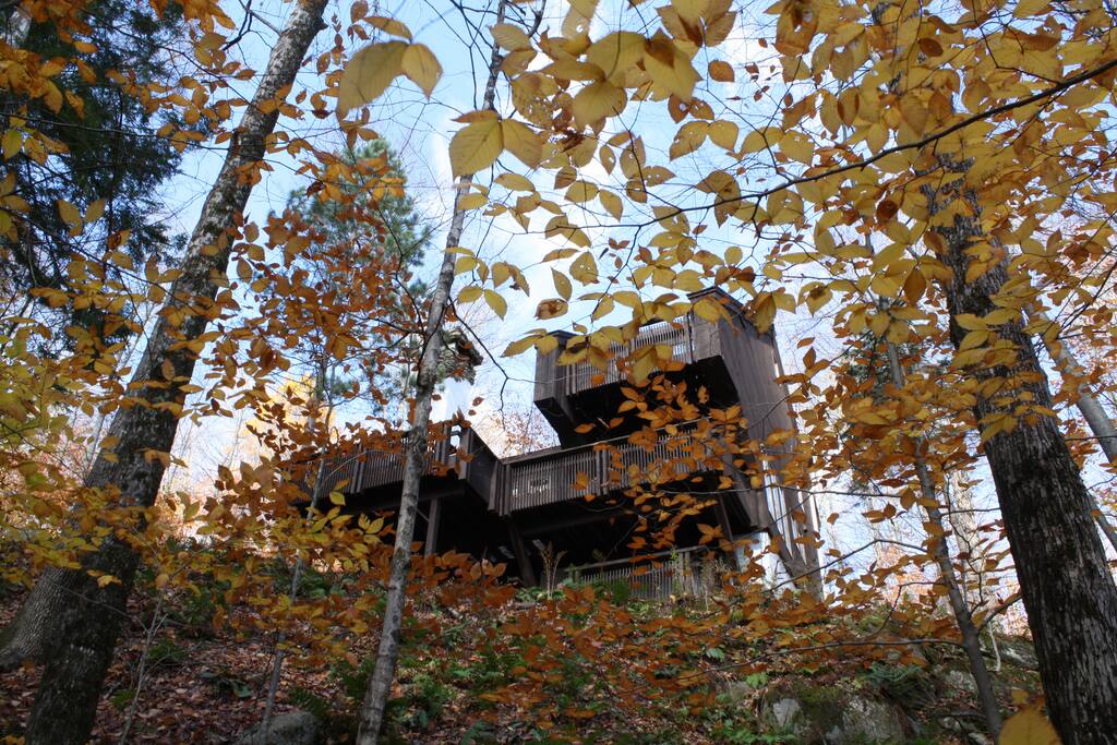 View of The Nest's multiple decks during Fall foliage