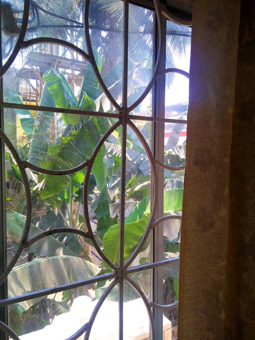 View from bedroom