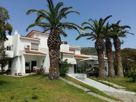 Las Palmas