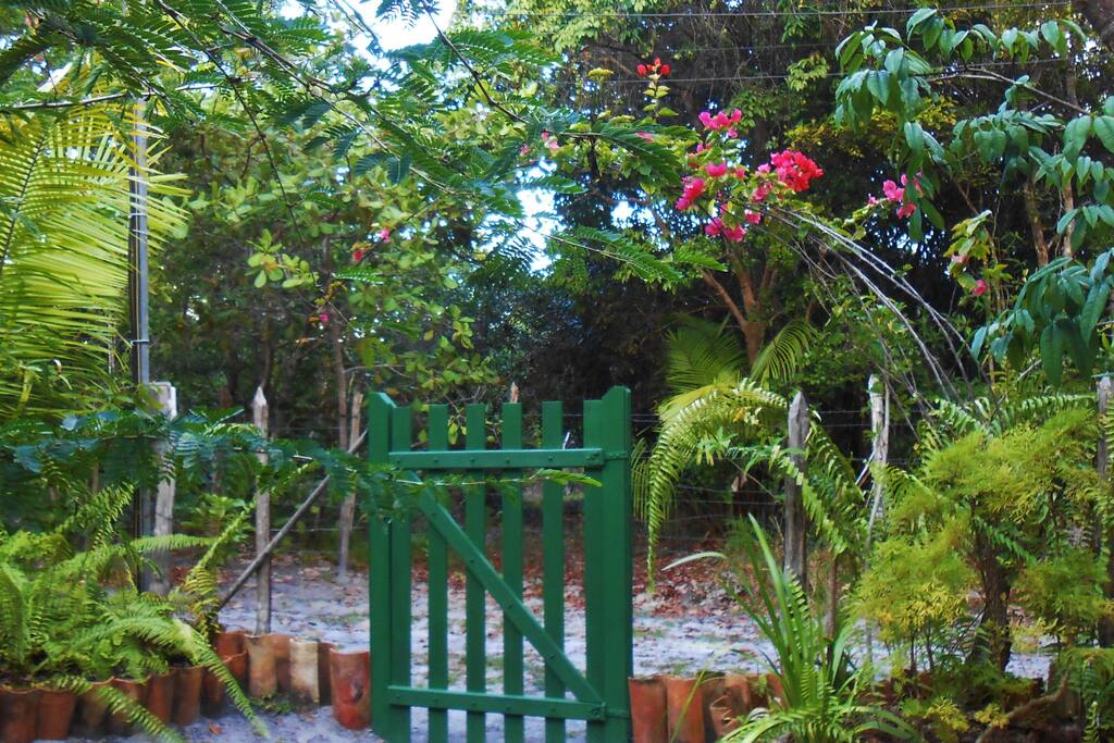 Entrada Principal: Portão Verde