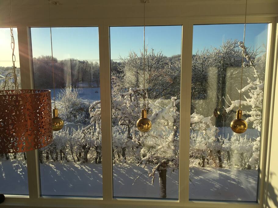 View from dining / tv room