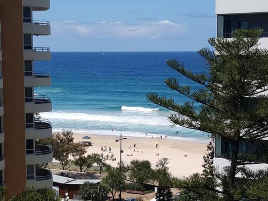 Room For Rent Surfers Paradise Room For Rent Surfers Paradise