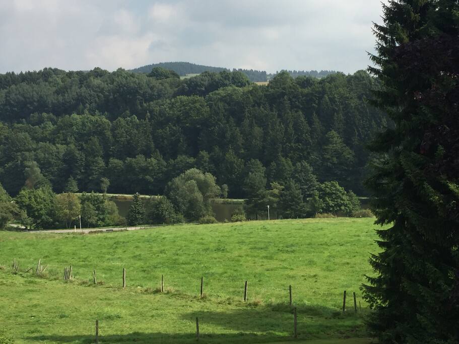 Blick vom Balkon auf den Forellenteich.