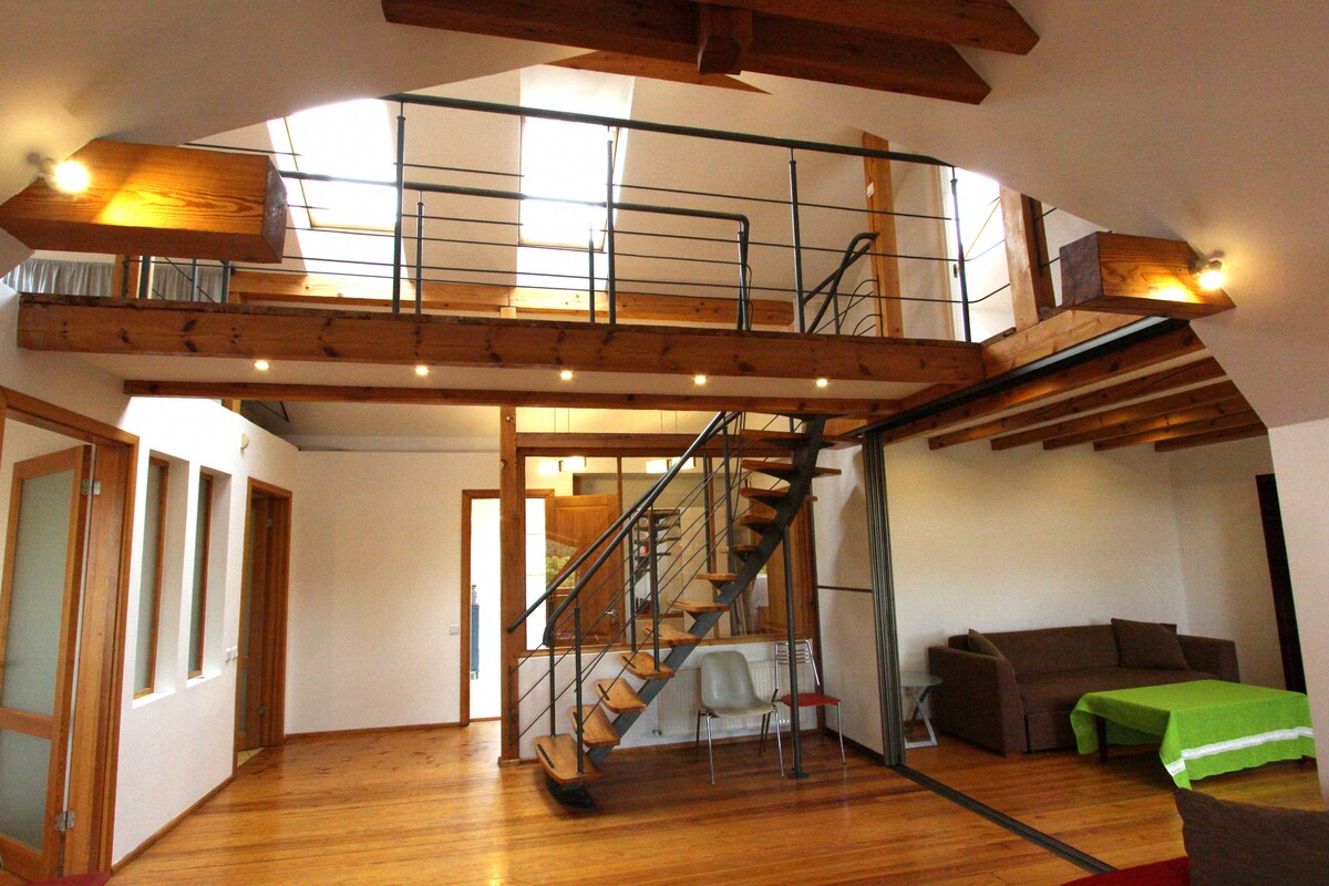 The open-concept living area features a spiral staircase leading to a lofted space. Natural light floods through skylights, illuminating wooden beams and floors. A comfortable sofa and a green table are positioned on the right, creating a cozy seating area.