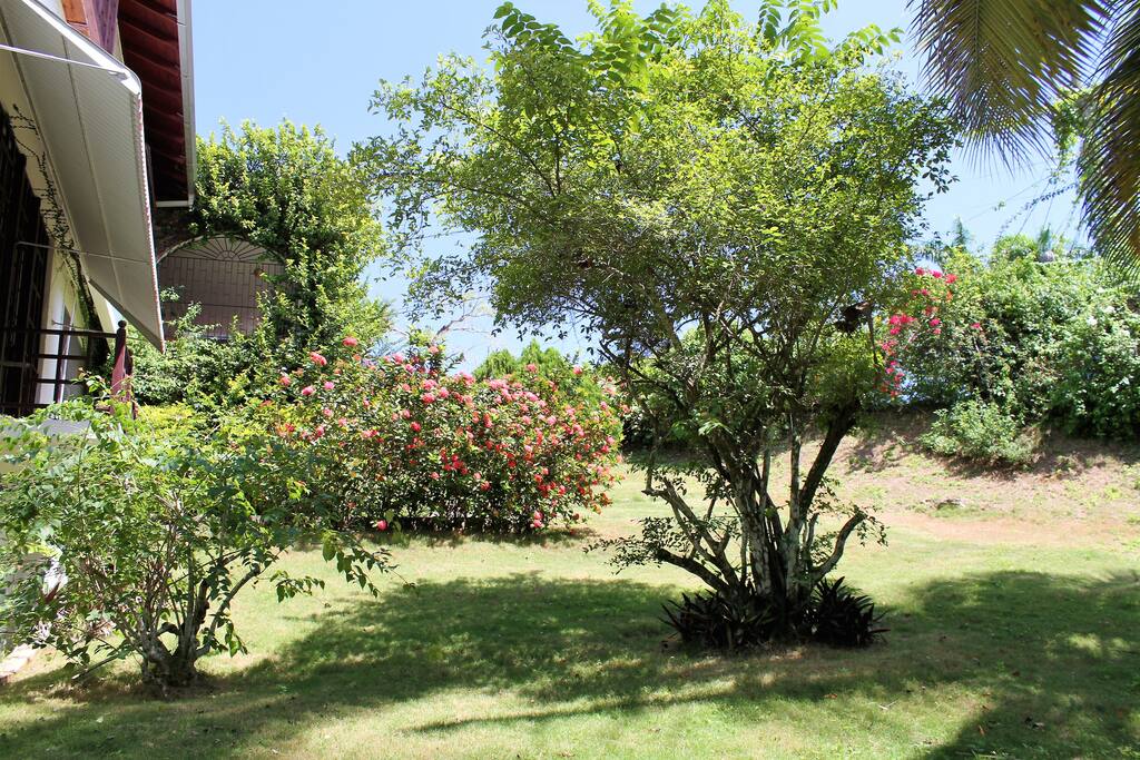 GARDEN AREA