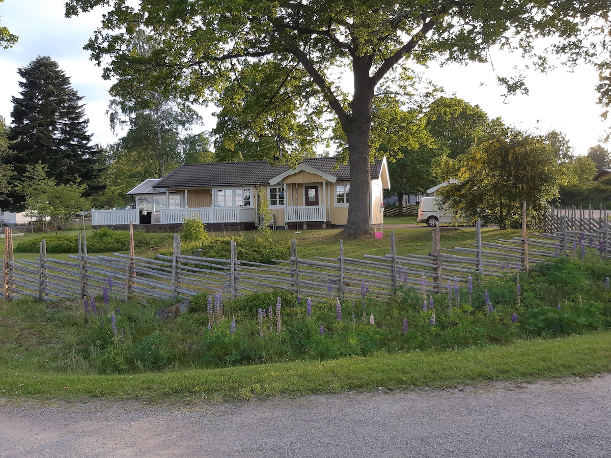 A charming yellow cottage with a porch sits beneath a large tree, surrounded by a wooden fence and vibrant green grass. Colorful flowers bloom in the foreground, adding natural beauty to the peaceful outdoor setting.
