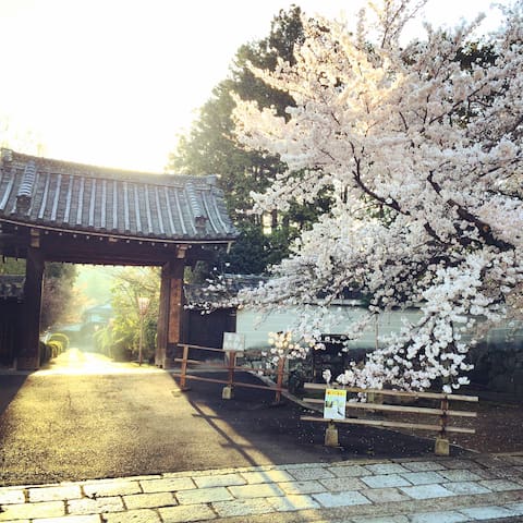 TGK203 4min to subway, 25min from Kyoto Sta.