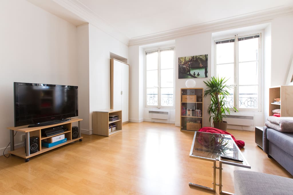 Salon/Pièce à vivre - photo 3