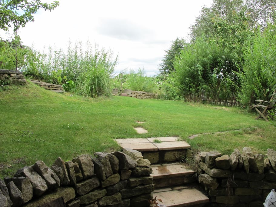 The garden from the biofold doors