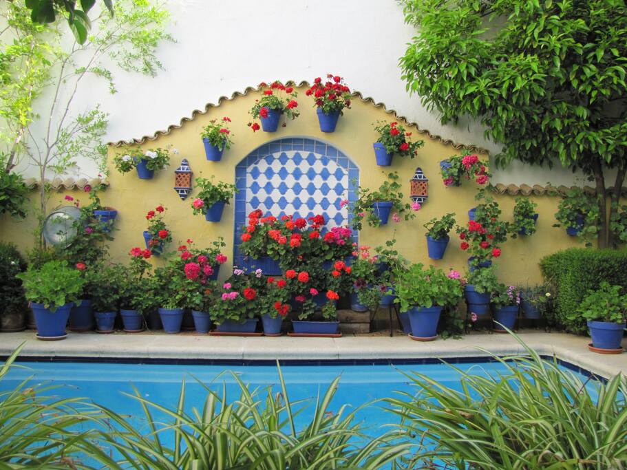 Piscina-Alberca