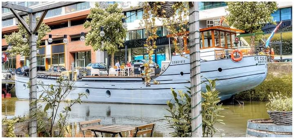 The Coaster: Unique ship with huge terraces