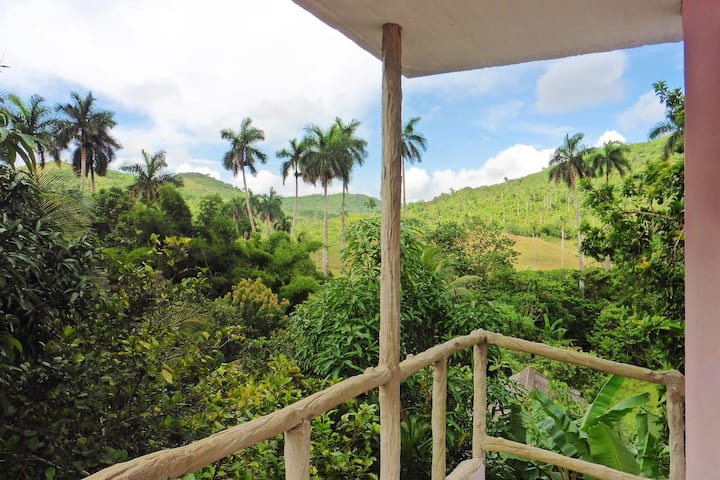 Casa Papito Room With A View Casa Particulars Cuba For Rent In Soroa Pinar Del Rio Cuba