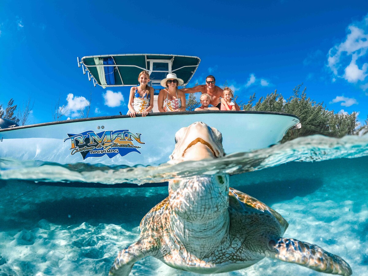 A serene underwater scene captures a turtle gliding through clear waters, while a boat floats above, revealing four individuals enjoying the moment. The vibrant blue sky and lush greenery create a peaceful backdrop, highlighting the beauty of island exploration.