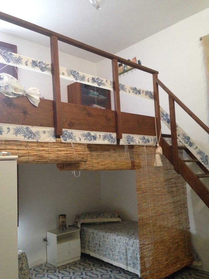 страна 1 нощен живот