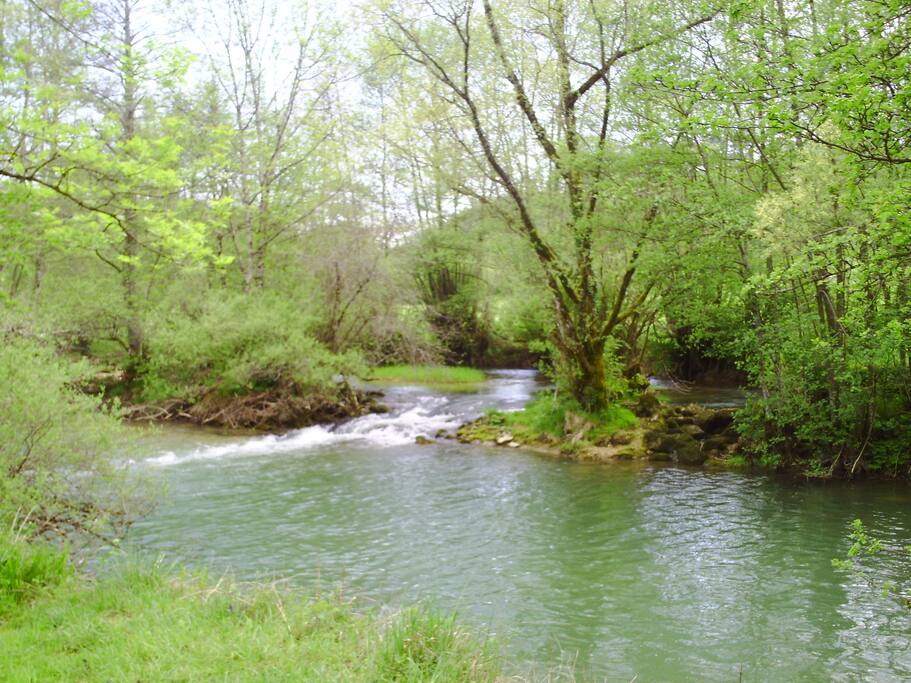 Rivière à proximité