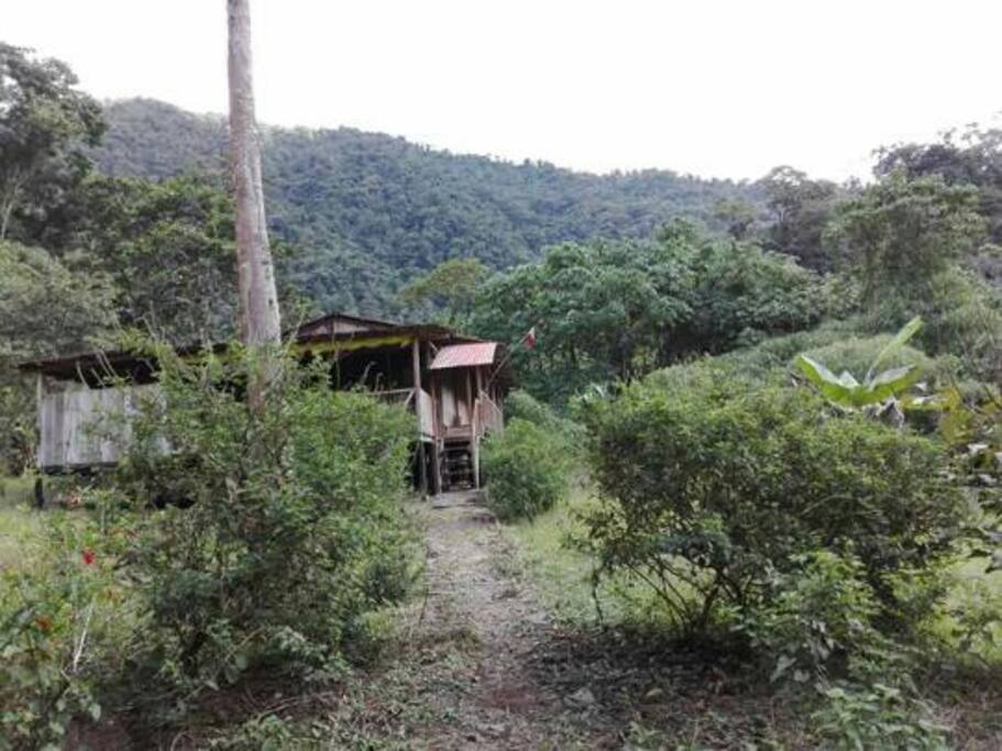casa completa