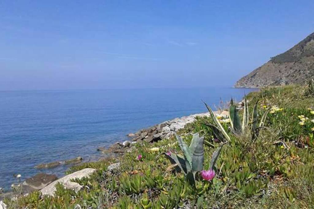 Lungomare joppolo